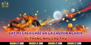 Cách chơi đá gà