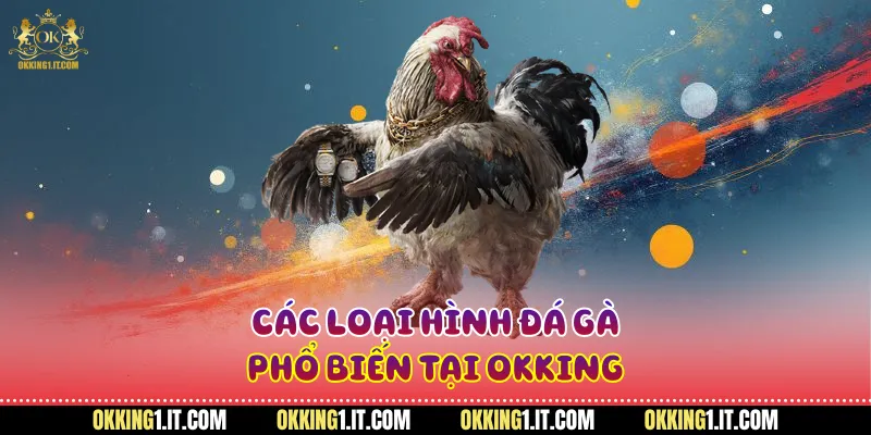 Các loại hình đá gà phổ biến tại Okking