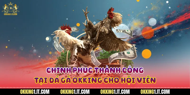 Chinh phục thành công tại đá gà Okking cho hội viên