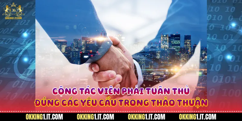 Cộng tác viên phải tuân thủ đúng các yêu cầu trong thảo thuận