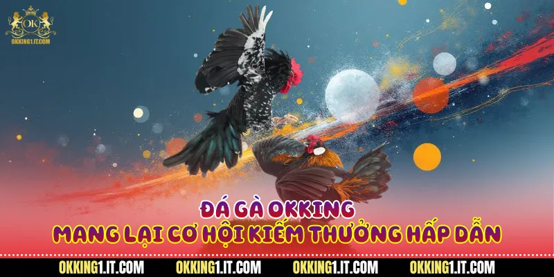 Đá gà Okking mang lại cơ hội kiếm thưởng hấp dẫn 