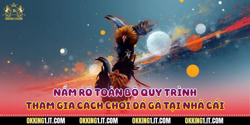Nắm rõ toàn bộ quy trình tham gia cược gà tại nhà cái